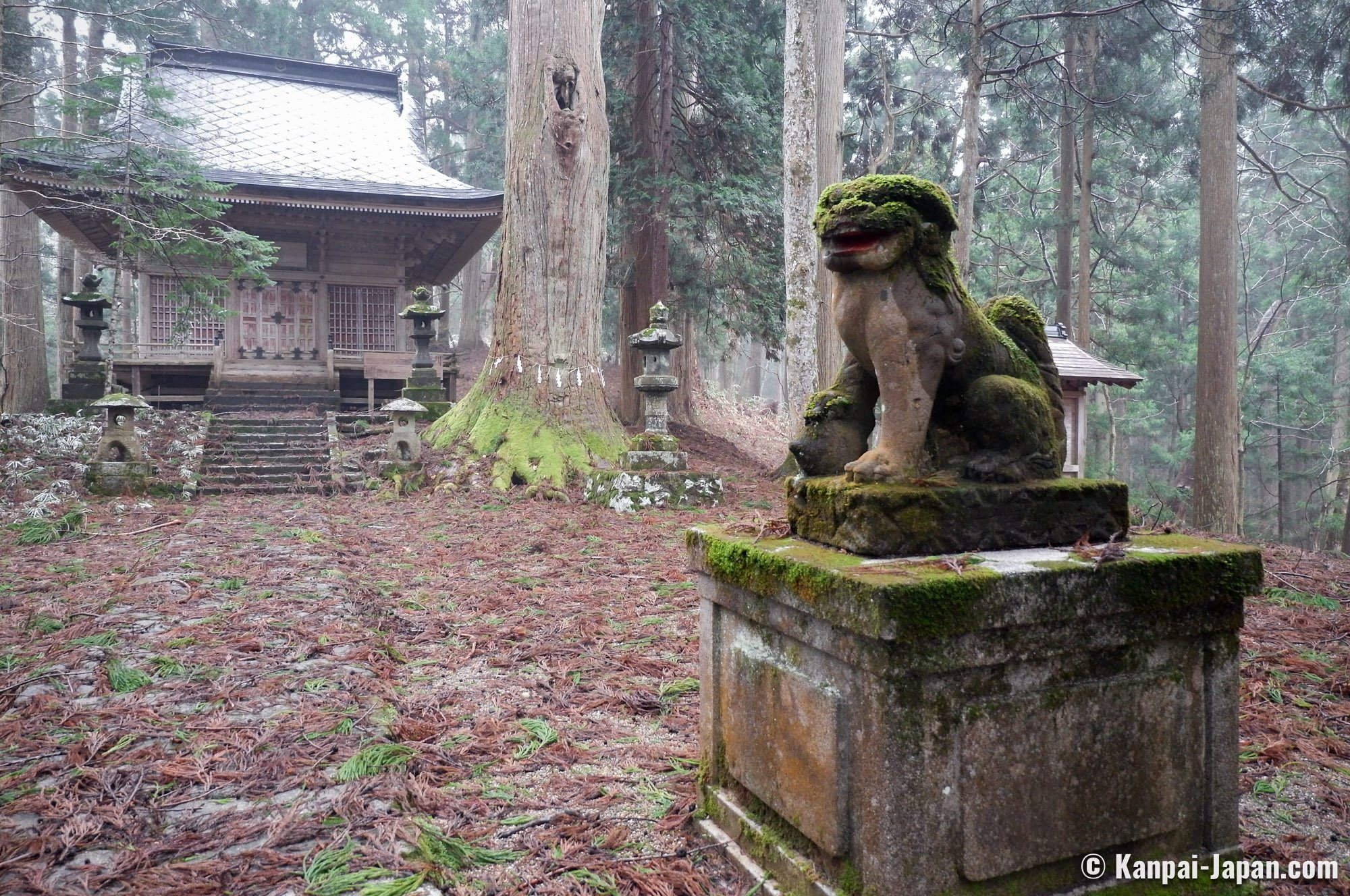 🏯 다호인 (타호인) 이미지 5